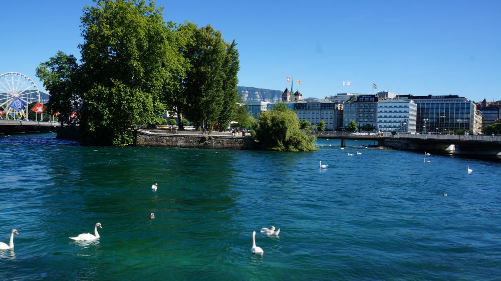 18.06.26_041-2_ Женева.JPG