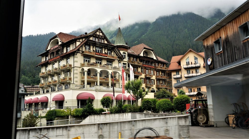 18.06.25_034_  перевол Брюнек (Золотой).JPG