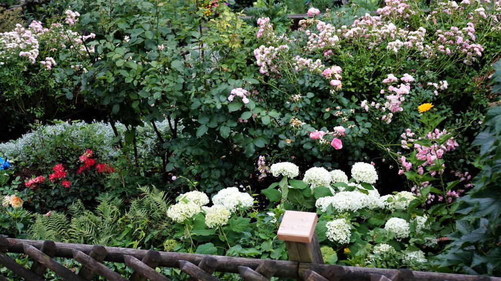 18.06.22_155_ СанктВольфганг.JPG