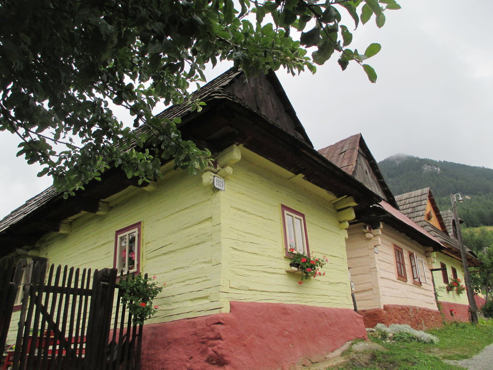 IMG_7683.JPG