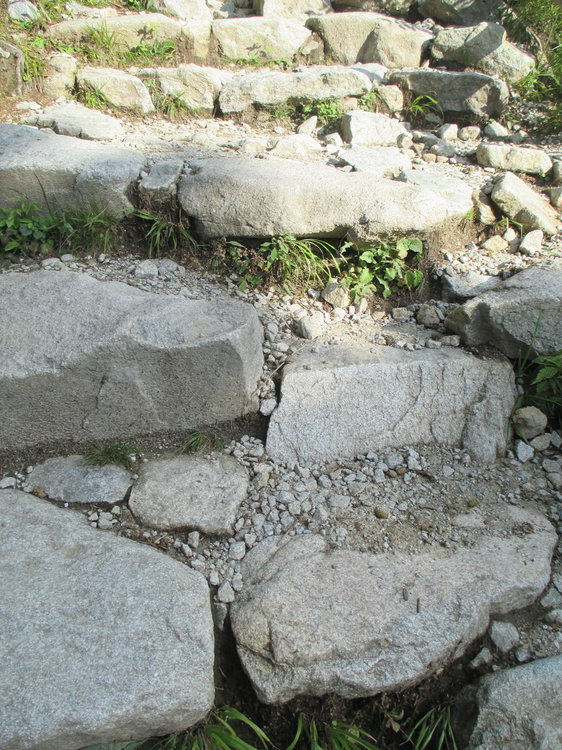 IMG_7837.JPG