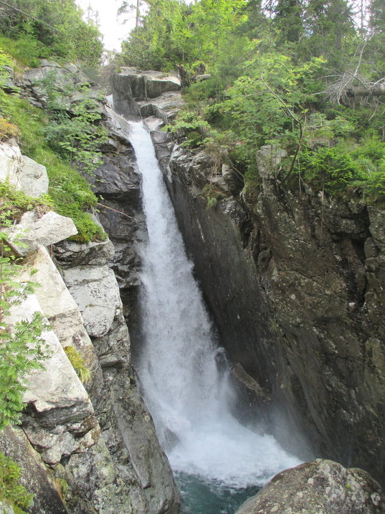 IMG_7865.JPG