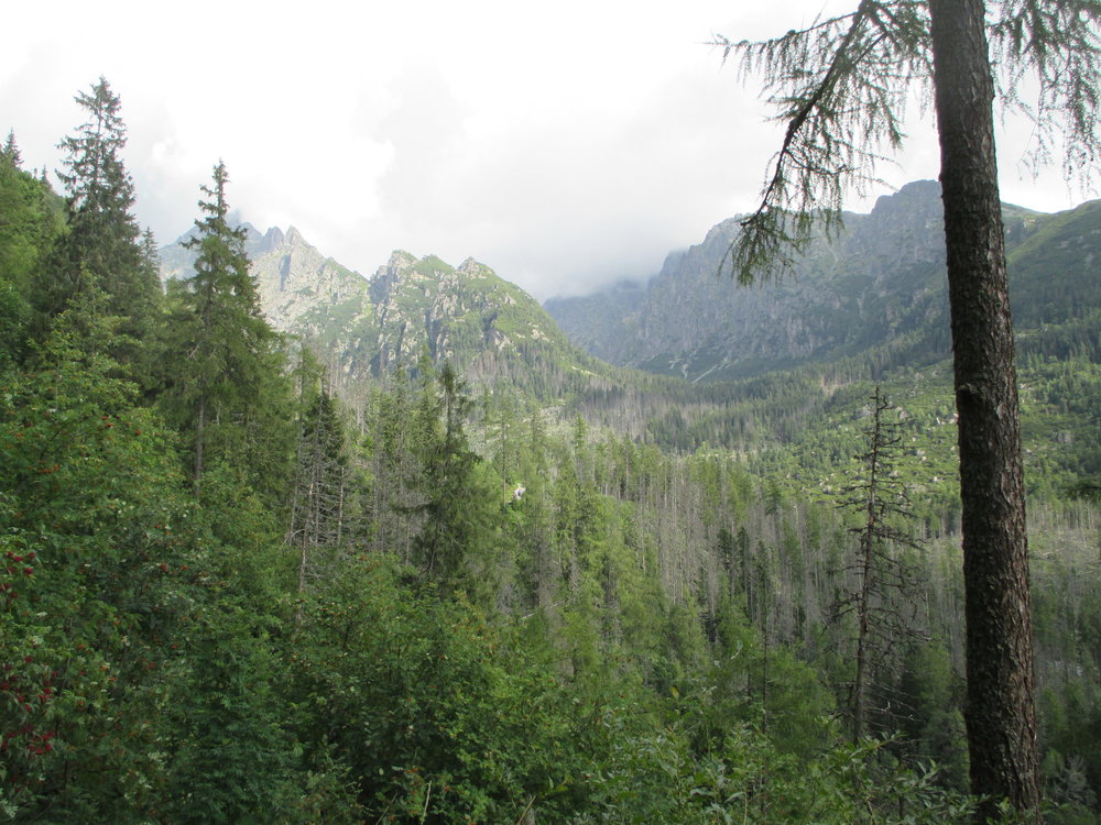 IMG_7870.JPG
