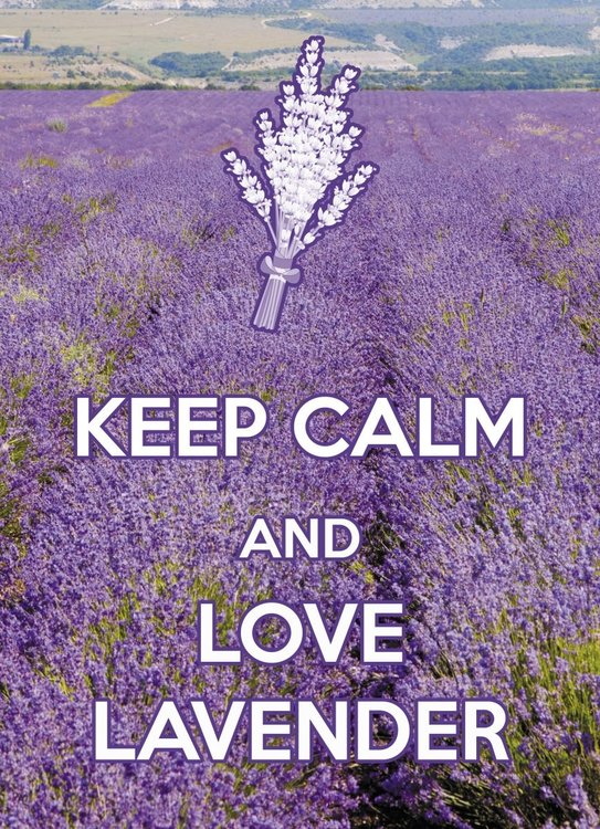 keep-calm-and-love-lavender.jpg