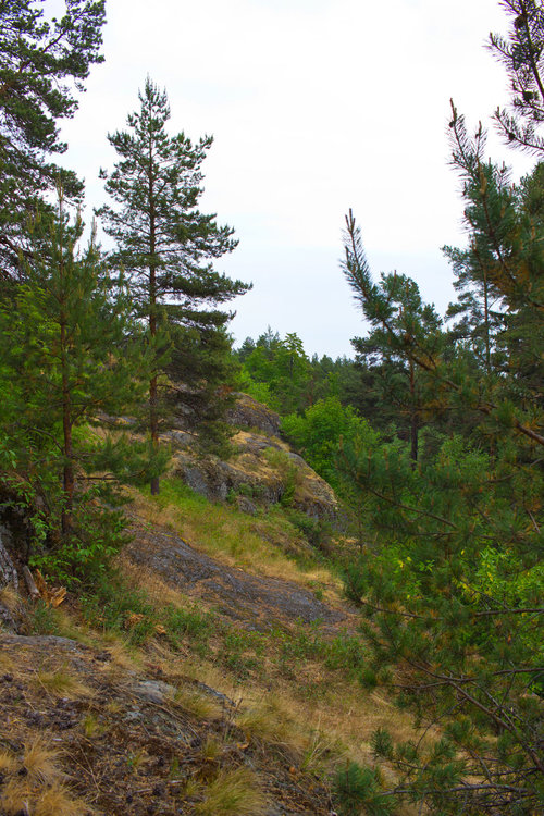 IMG_4177 Урочище Чертов Стул.jpg