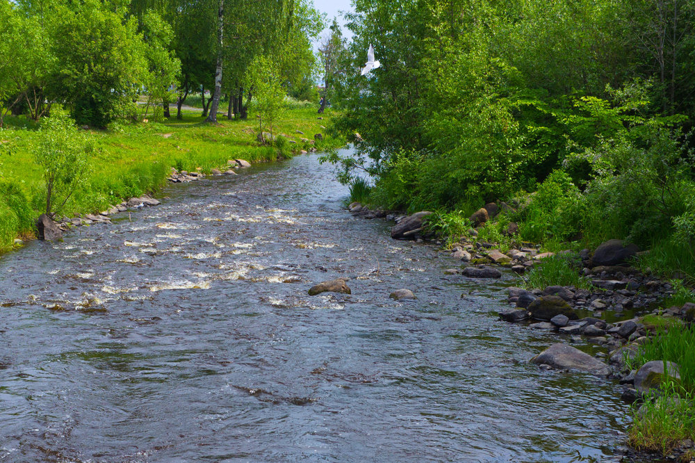 Img_3690 Полет над Лососинкой.jpg