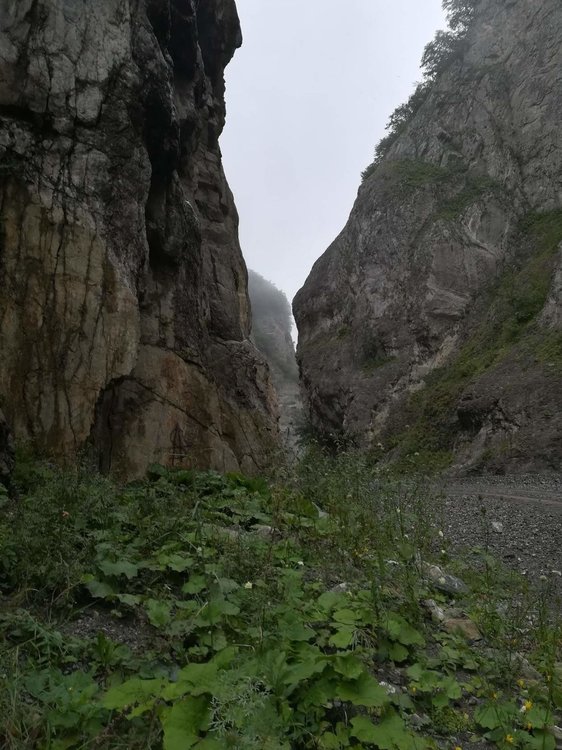 Кармадон (1).jpg