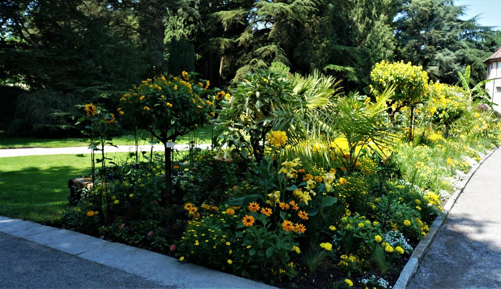 18.06.30_259_ о.Майнау.JPG