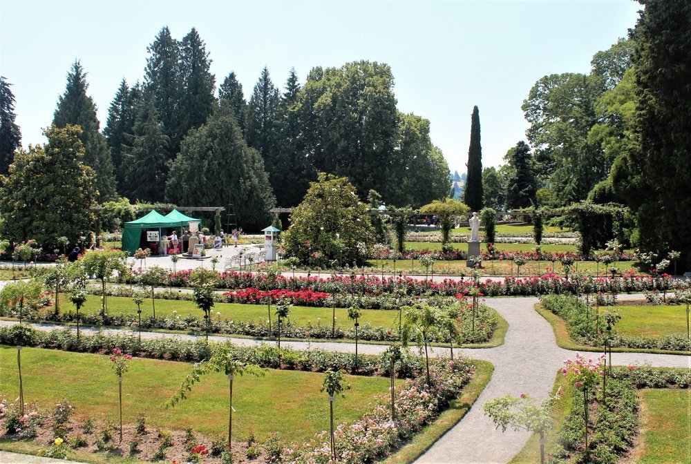 18.06.30_249_ о.Майнау.JPG