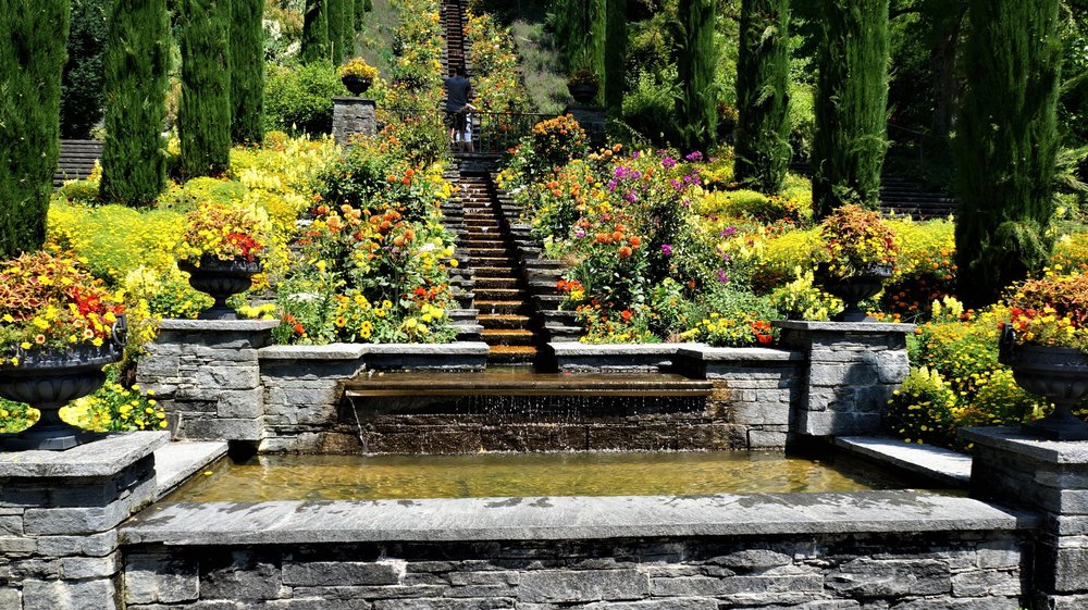 18.06.30_135_ о.Майнау.JPG