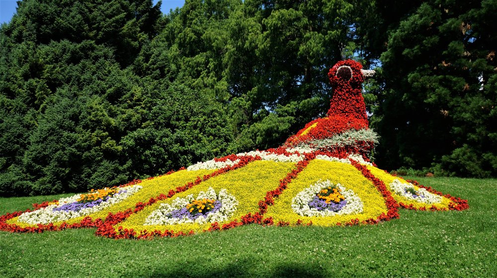 18.06.30_043_ о.Майнау.JPG