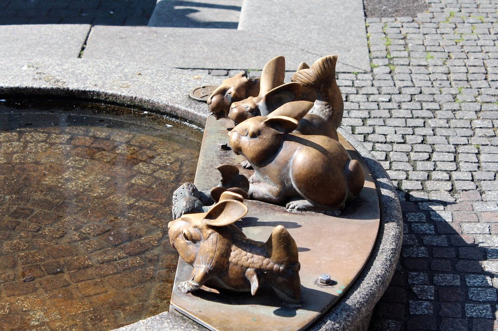 18.06.30_078_  Констанц.JPG