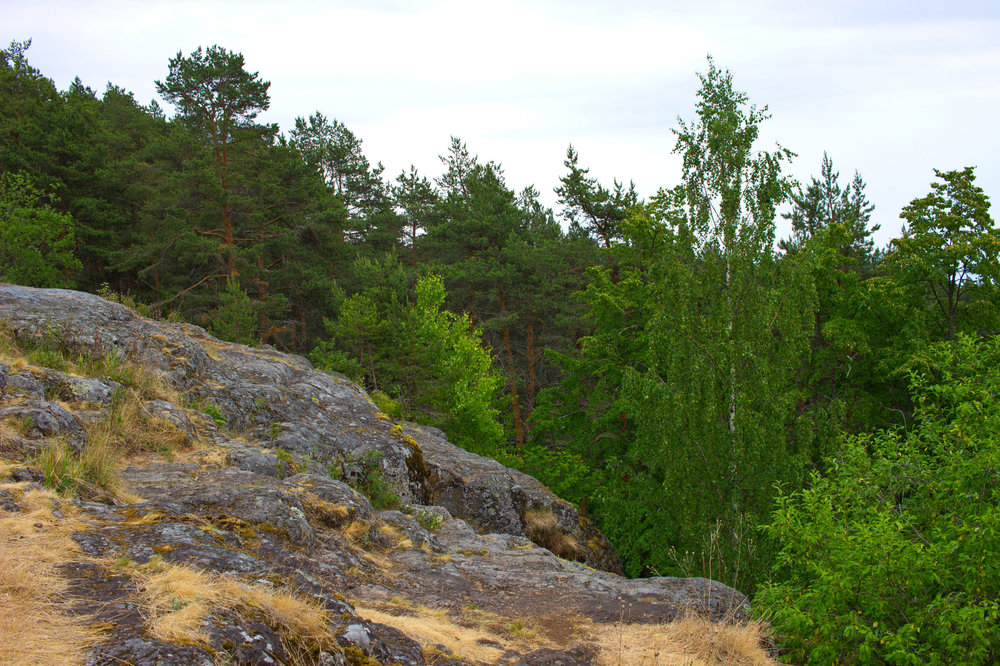 IMG_4206 Уроцище Чертов Стул.jpg