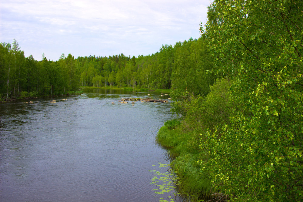 IMG_4458 Река Сяпся.jpg