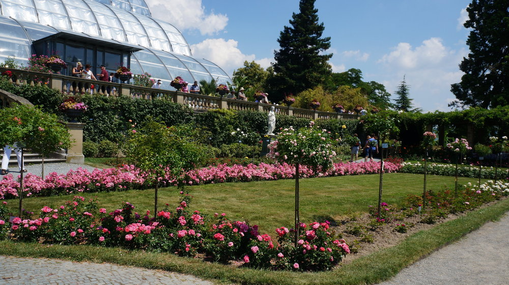 18.06.30_198_ о.Майнау.JPG