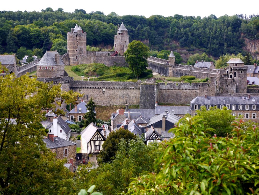 _1370988.JPG 2.jpg 2.jpg