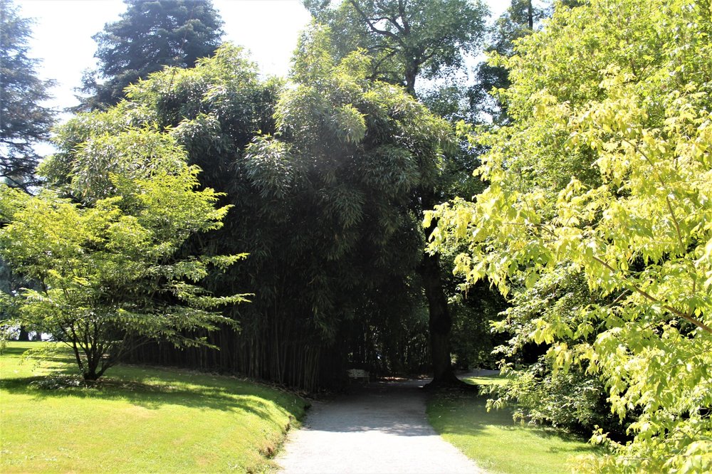 18.06.30_312_ о.Майнау.JPG