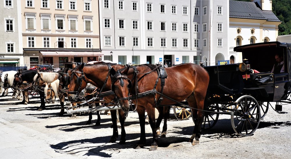 18.07.02_295_  Зальцбург.JPG