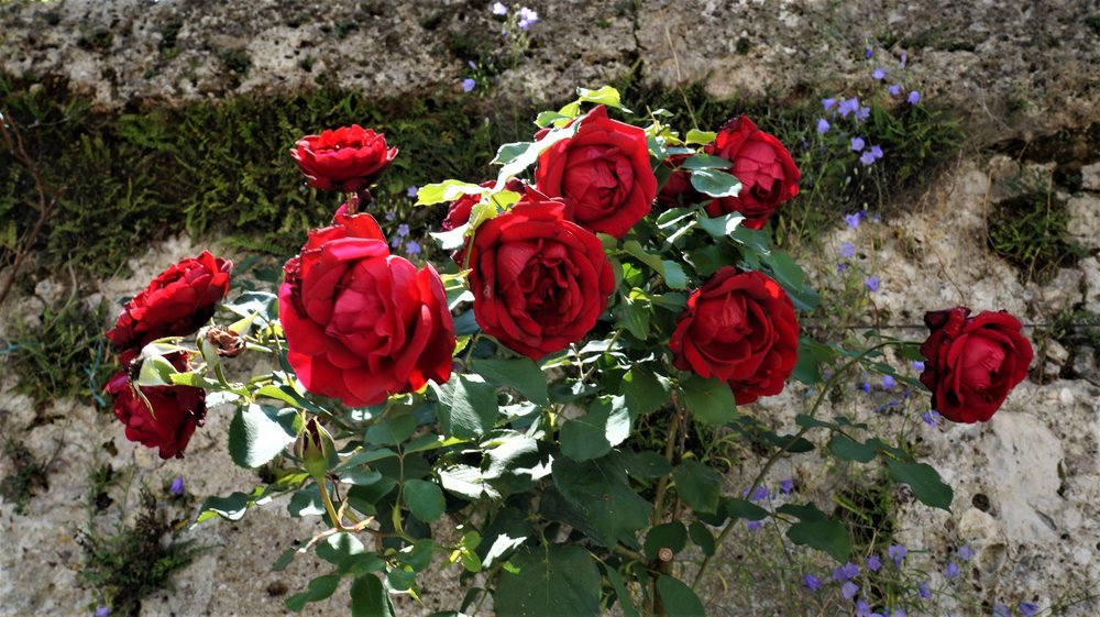 18.07.02_390_  Зальцбург_.JPG