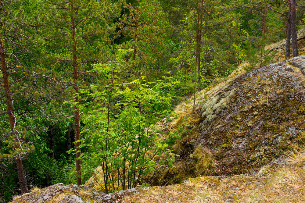 IMG_3879 Гора Сампо.jpg