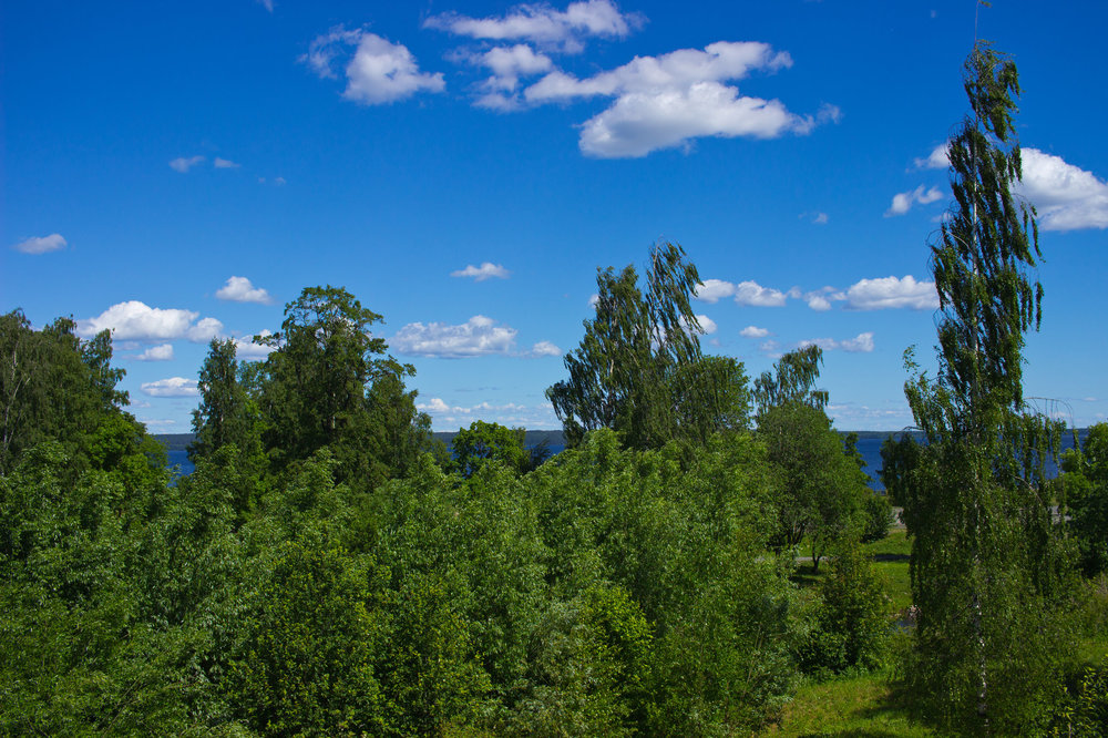 IMG_4057 Петрозаводск.jpg