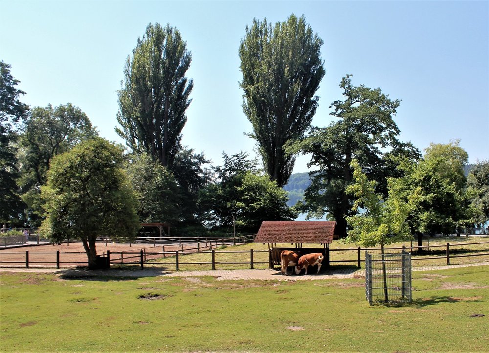 18.06.30_073_ о.Майнау.JPG