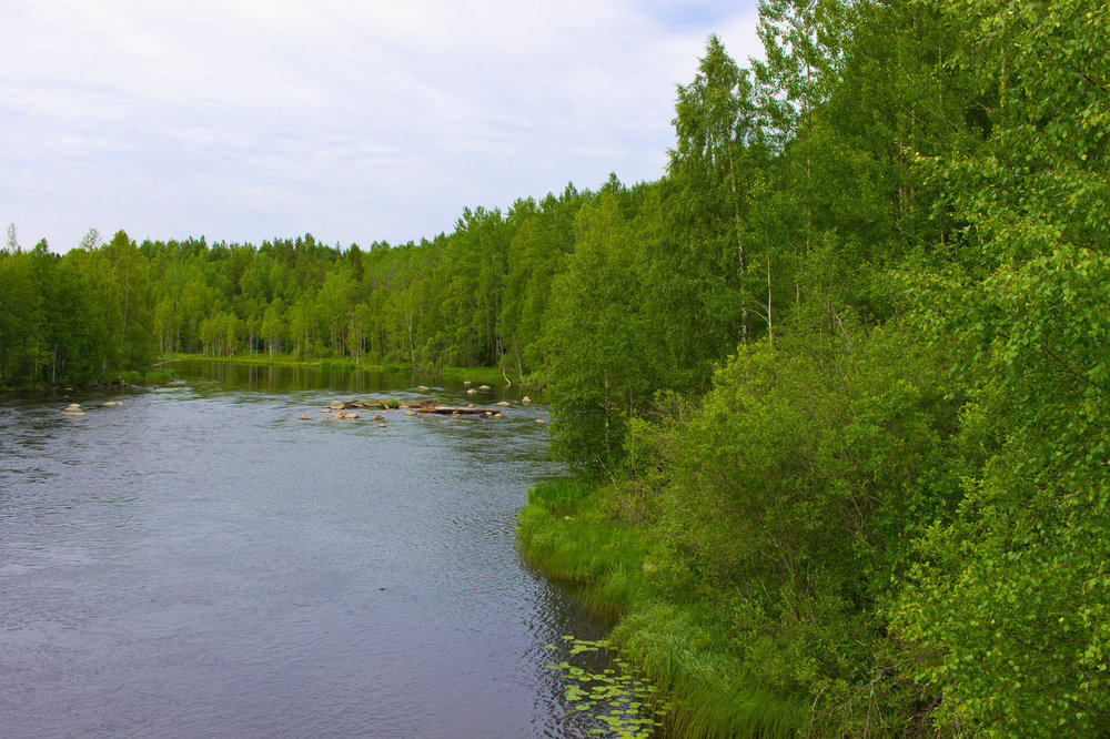 IMG_4459 Река Сяпся.jpg