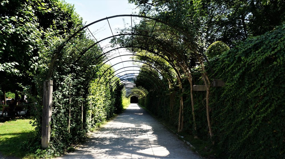 18.07.02_406_  Зальцбург_ парк Мирабель.JPG