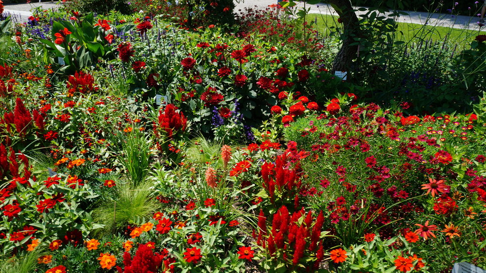 18.06.30_294_ о.Майнау.JPG