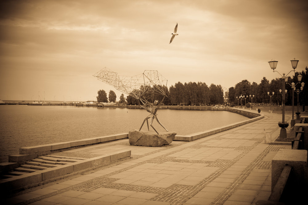 IMG_3673 Полет над Онежской набережной графика.jpg