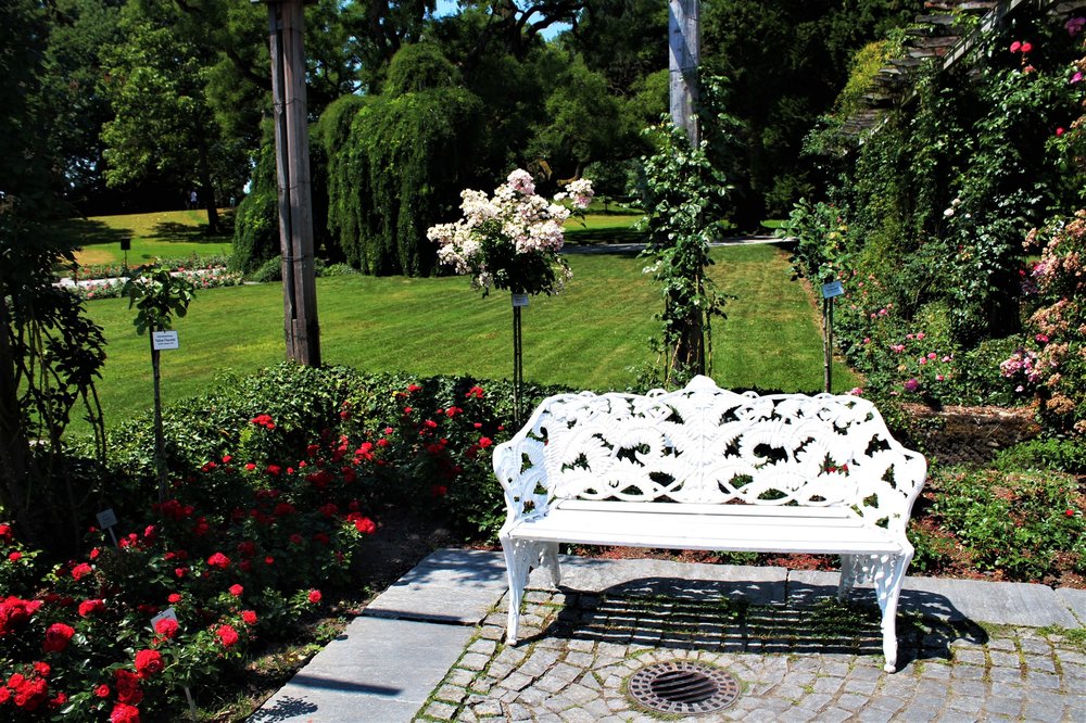 18.06.30_191_ о.Майнау.JPG