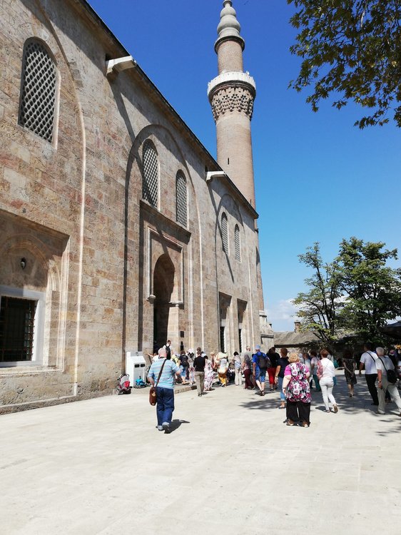 IMG_2018-09-19 11-57-44.jpg