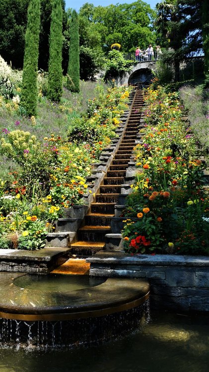 18.06.30_150_ о.Майнау.JPG