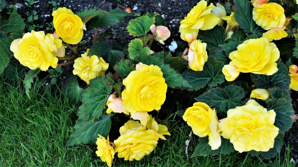 18.07.02_396_  Зальцбург_.JPG