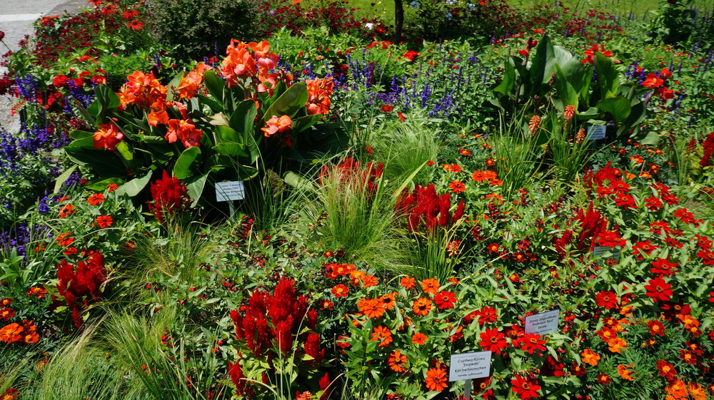 18.06.30_285_ о.Майнау.JPG