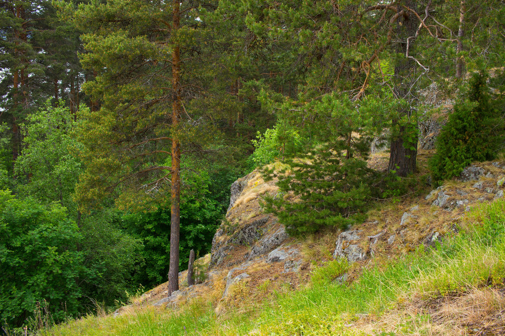 IMG_4166_Урочище_Чертов_Стул.jpg