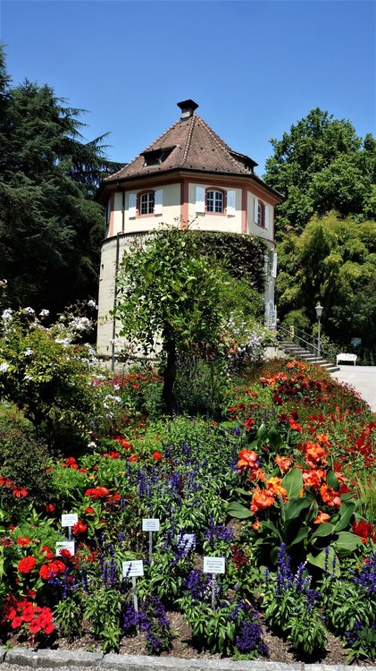 18.06.30_281_ о.Майнау.JPG