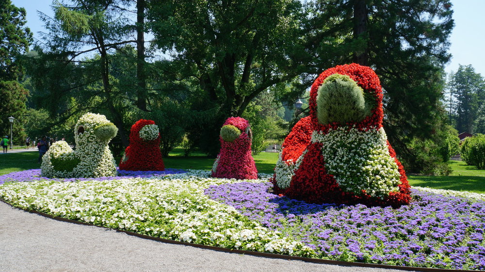 18.06.30_054_ о.Майнау.JPG