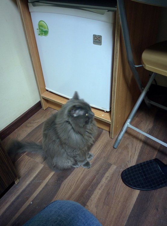 2018-09-14 18-39-03.JPG