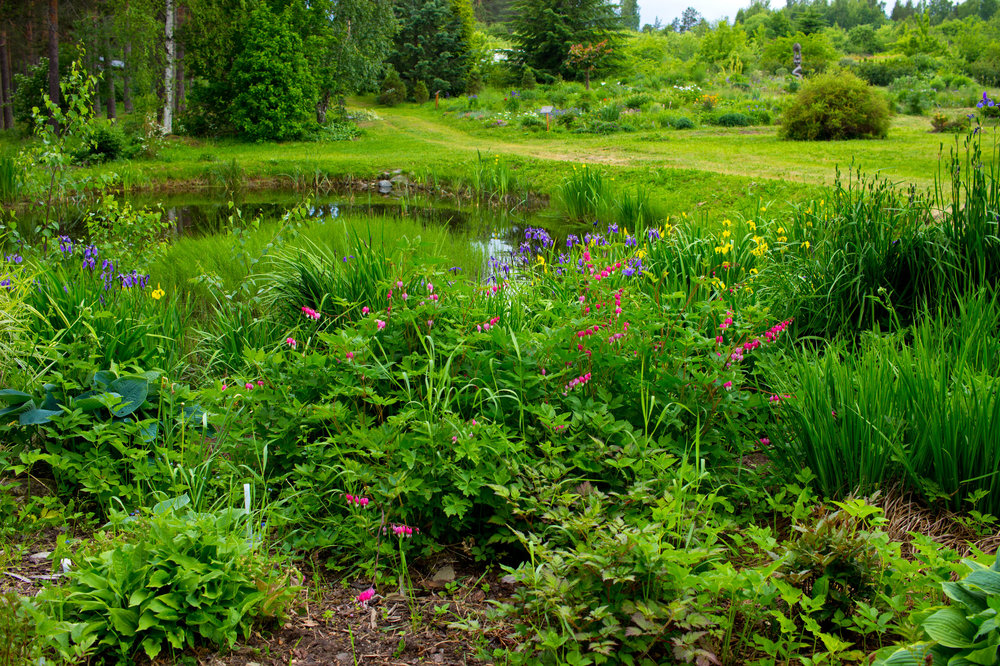 IMG_4108 Ботанический сад.jpg