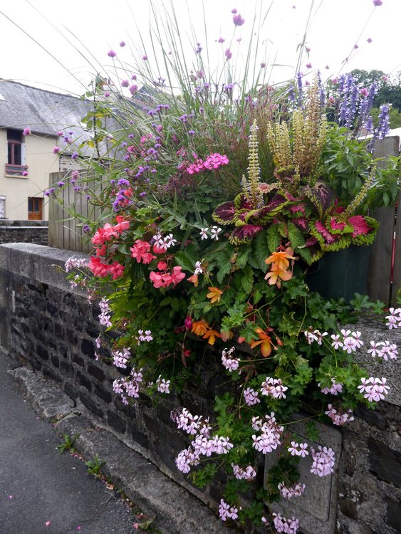 _1370983.JPG 2.jpg 2.jpg