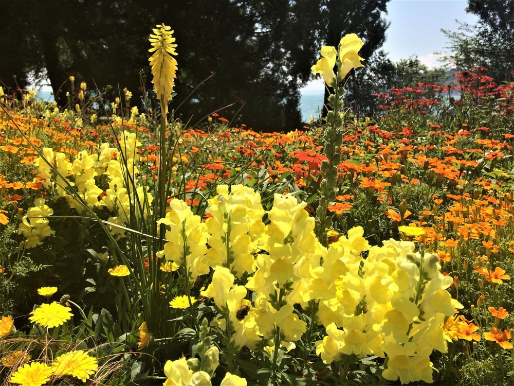 18.06.30_148_ о.Майнау.JPG