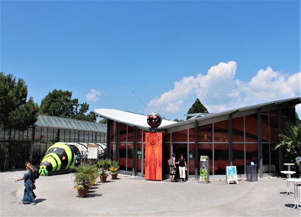 18.06.30_343_ о.Майнау.JPG