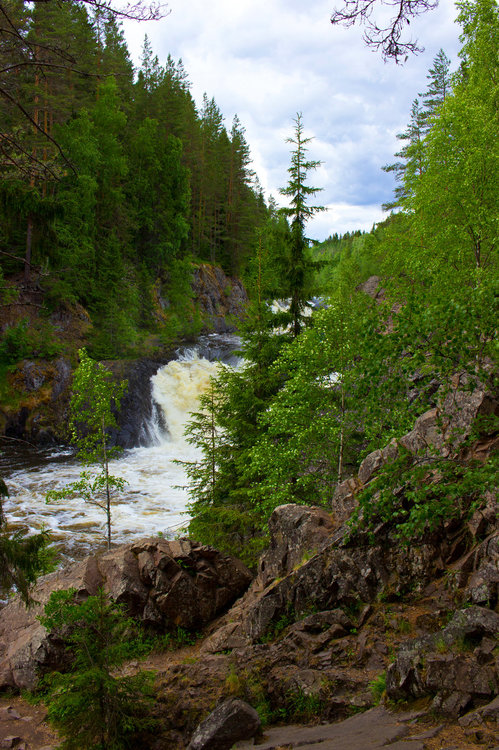 IMG_3934 Заповедник Кивач.jpg