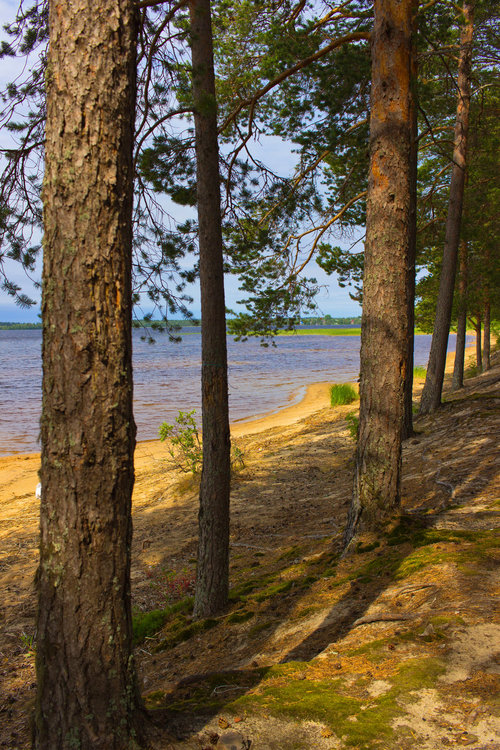 IMG_4417 Сямозеро.jpg