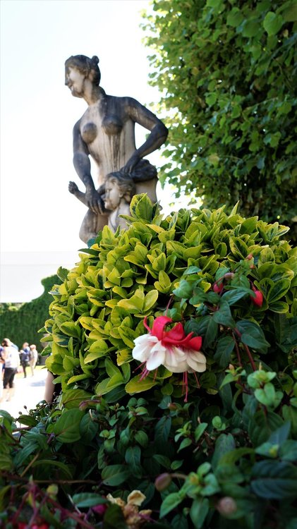 18.07.02_091_  Зальцбург_ Парк Мирабель.JPG