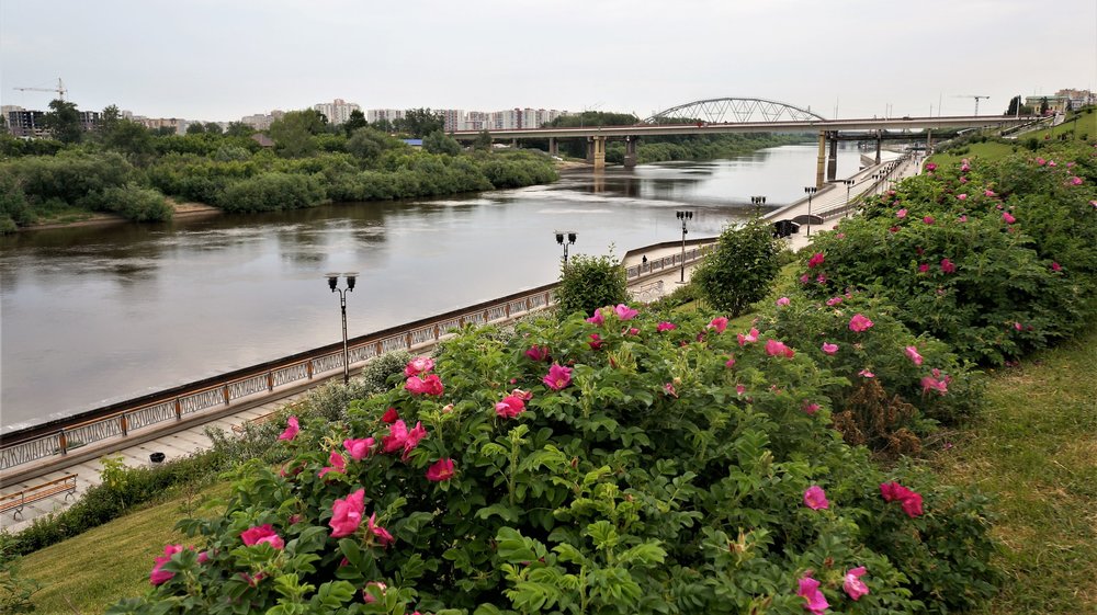 18.07.05_180_ Тюмень.JPG