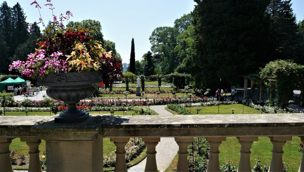 18.06.30_229_ о.Майнау.JPG