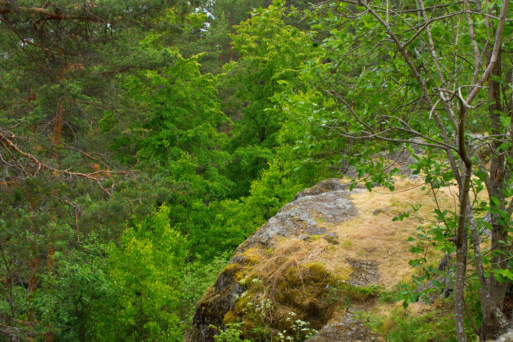 IMG_4227 Урочище Чертов Стул.JPG