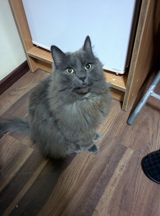 2018-09-14 18-39-41.JPG